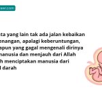 Manusia, Siapa Sebenarnya dalam Pandangan Islam?